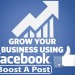 Facebook Post Boosting Service